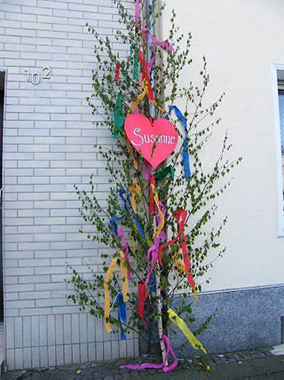 Maibaum